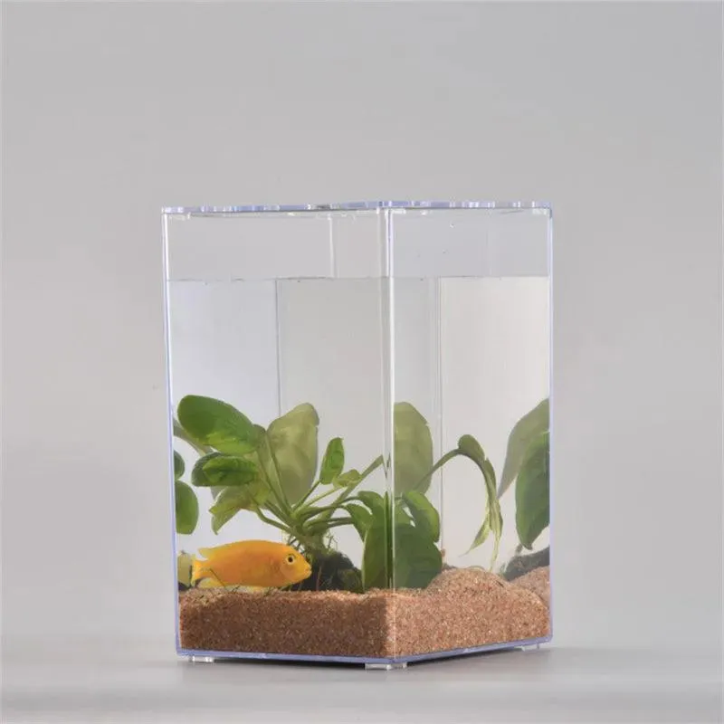 Acrylic Desktop Fish Tank