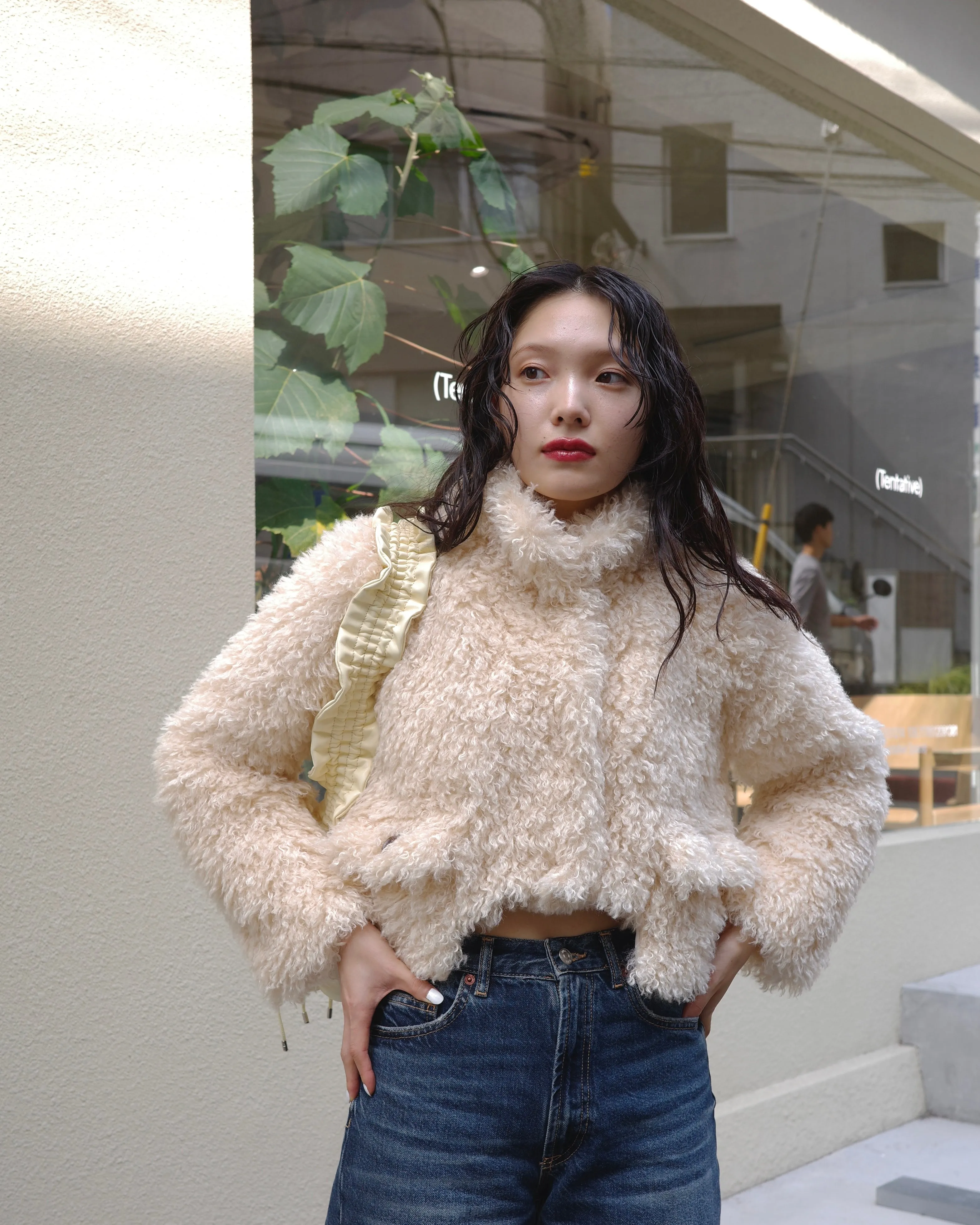 Cropped fur jacket (beige / pink)